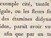 images réinventées Pascale Boulon…