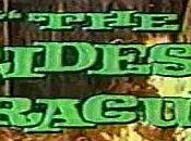 [DVD] Challenge Vampires n°20 Maîtresses Dracula
