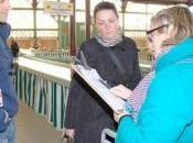 Marans ligne Marans-La Rochelle, dossier déraille