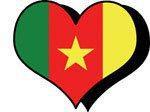 CAMEROUN. j’étais spin doctor »opposition camerounaise azerty